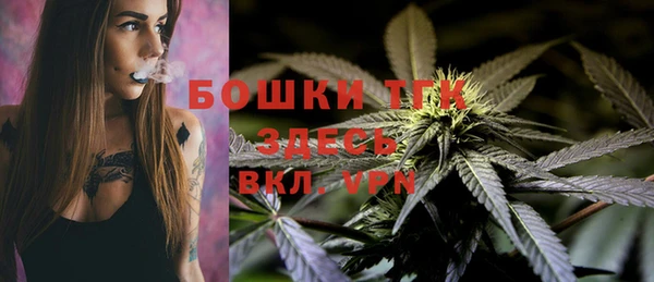 индика Абдулино